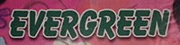 EVERGREEN