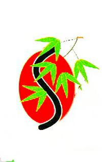 SOUPARNIKA
